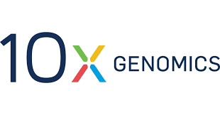 10x
